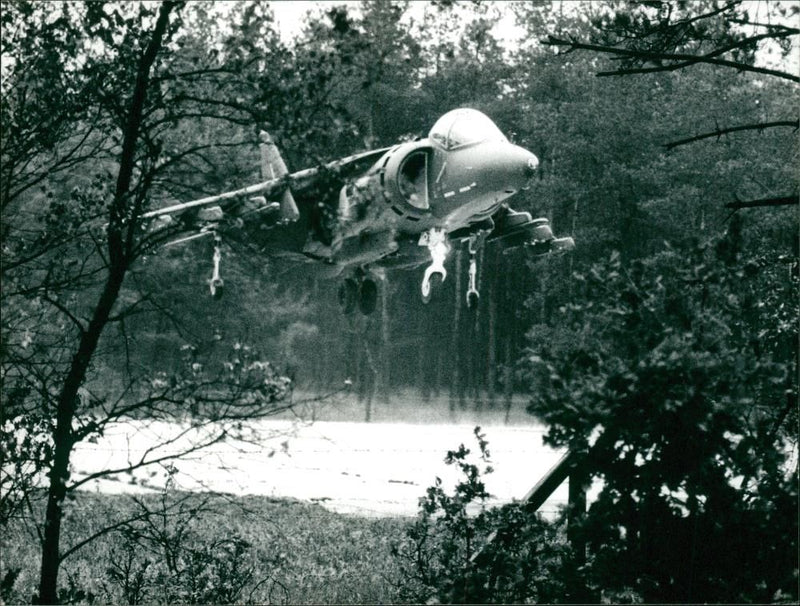 Aircraft Harrier - Vintage Photograph