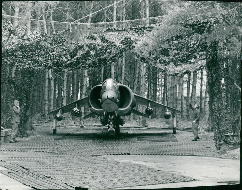 Aircraft Harrier - Vintage Photograph