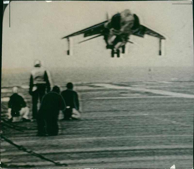 Aircraft Harrier - Vintage Photograph