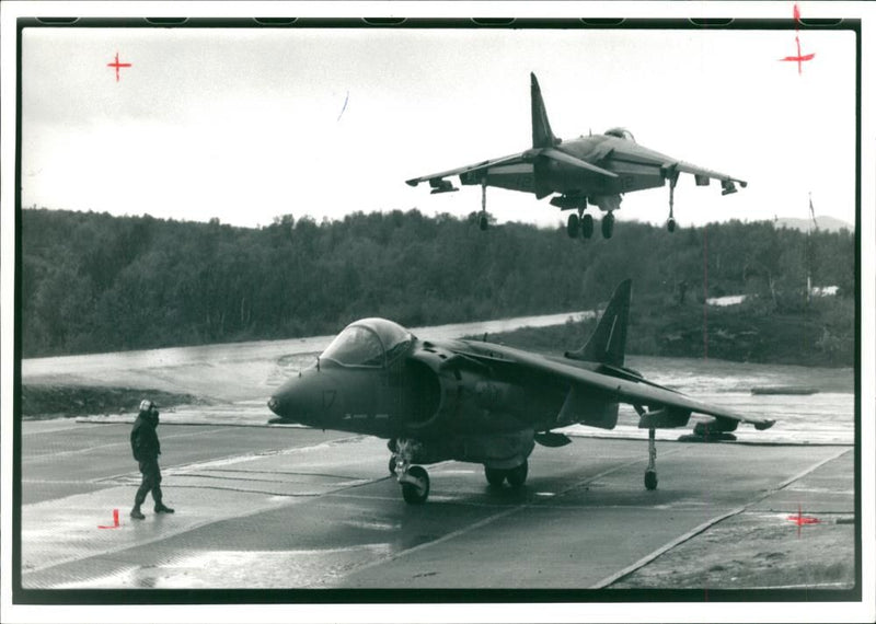 Aircraft Harrier - Vintage Photograph