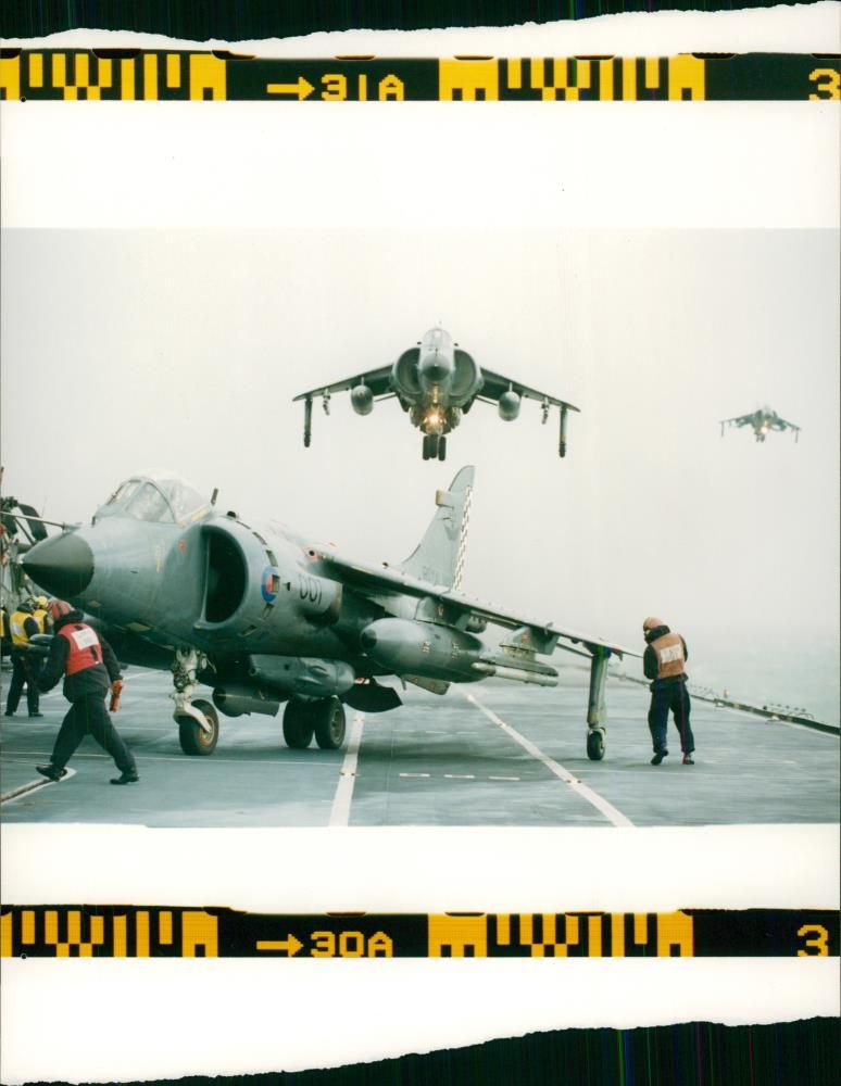 Aircraft Harrier. - Vintage Photograph