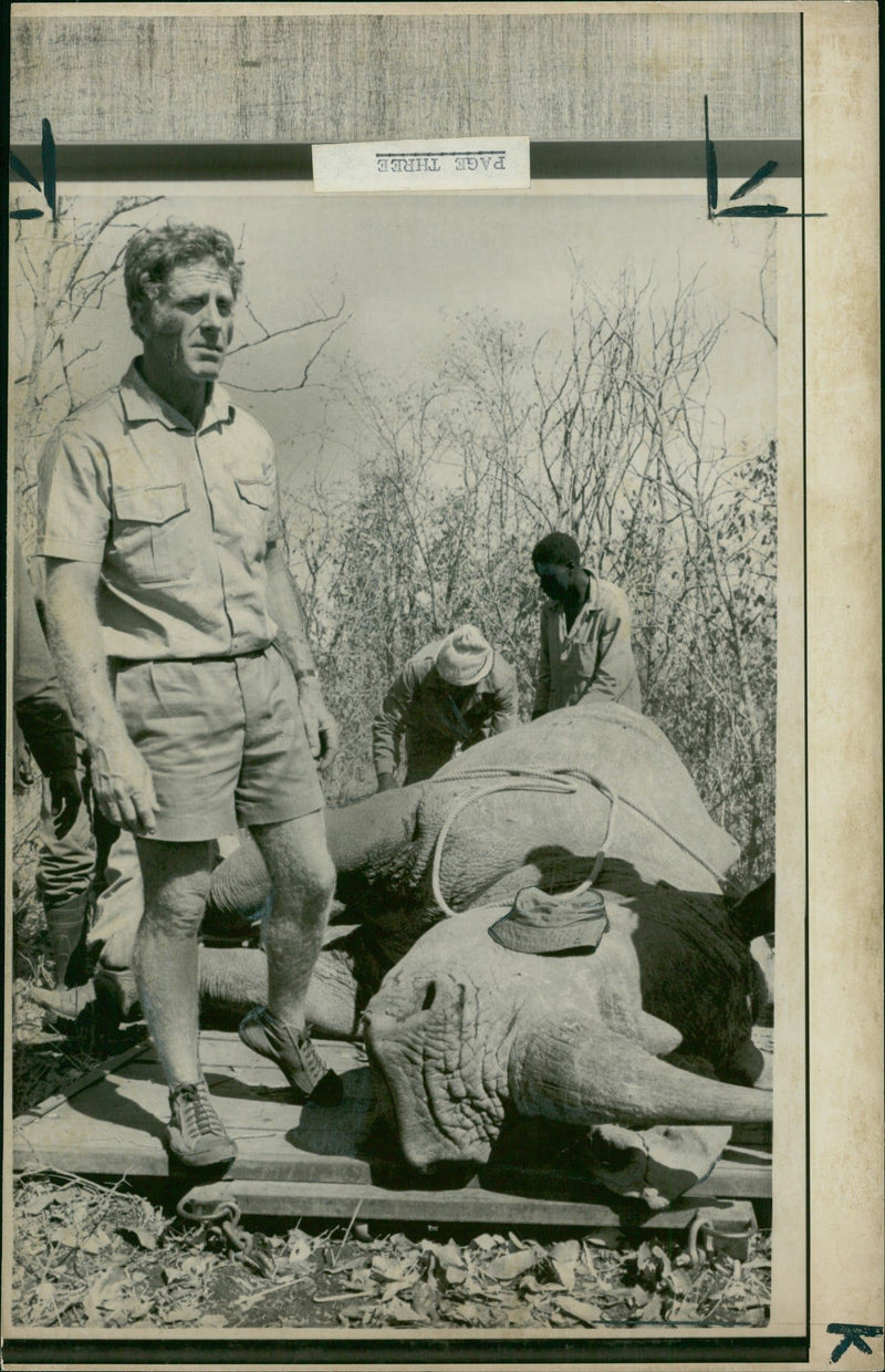 Animal: Rhinoceros - Vintage Photograph