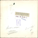 Elephant - Vintage Photograph