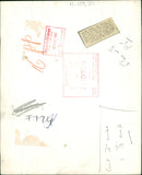 Elephant - Vintage Photograph