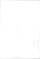 Elephant - Vintage Photograph