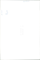 Elephant - Vintage Photograph