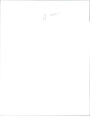 Elephant - Vintage Photograph