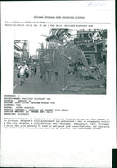 Elephant - Vintage Photograph