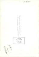 Elephant - Vintage Photograph