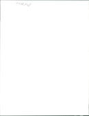 Elephant - Vintage Photograph