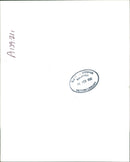 Elephant - Vintage Photograph