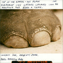 Elephant - Vintage Photograph