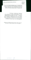 Elephant - Vintage Photograph