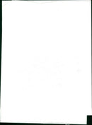 Elephant - Vintage Photograph