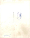 Boeing 707 Jet airliner. - Vintage Photograph