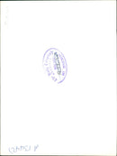 Boeing 707 Jet airliner. - Vintage Photograph