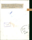 Giraffe Animal. - Vintage Photograph