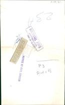 Giraffe Animal. - Vintage Photograph