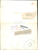 Giraffe Animal. - Vintage Photograph