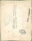 Animal Giraffe. - Vintage Photograph