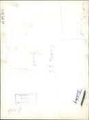 Animal Giraffe. - Vintage Photograph