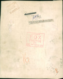 Animal Giraffe. - Vintage Photograph