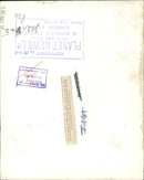 Animal Giraffe avril. - Vintage Photograph