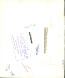 Animal Giraffe. - Vintage Photograph