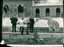 Animal Giraffe at london zoo. - Vintage Photograph