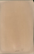 Animal Giraffe. - Vintage Photograph