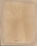 Animal Giraffe. - Vintage Photograph