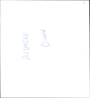 Animal Giraffe. - Vintage Photograph