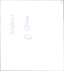 Animal Giraffe. - Vintage Photograph