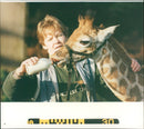 Animal Giraffe. - Vintage Photograph