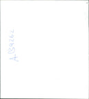 Animal Giraffe. - Vintage Photograph