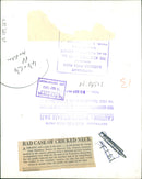 Animal Giraffe with a pain in the neck. - Vintage Photograph