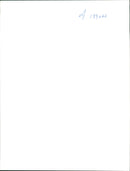 Animal Giraffe. - Vintage Photograph