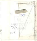 Animal Giraffe a gentle cares. - Vintage Photograph