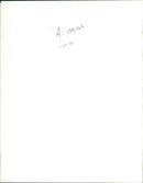 Animal Giraffe. - Vintage Photograph