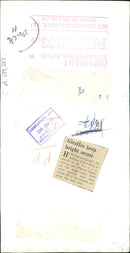 Animal Giraffe keep height secret. - Vintage Photograph