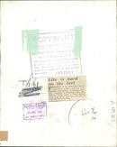 Animal Giraffe Pedicure. - Vintage Photograph