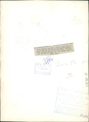 Animal Giraffe at bristol zoo. - Vintage Photograph