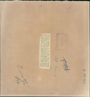 Animal Giraffe. - Vintage Photograph