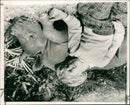 Rhinoceros Animal - Vintage Photograph