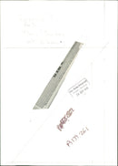 Rhinoceros Animal - Vintage Photograph