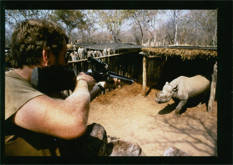 Rhinoceros Animal - Vintage Photograph