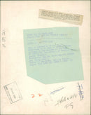 Rhinoceros Animal - Vintage Photograph