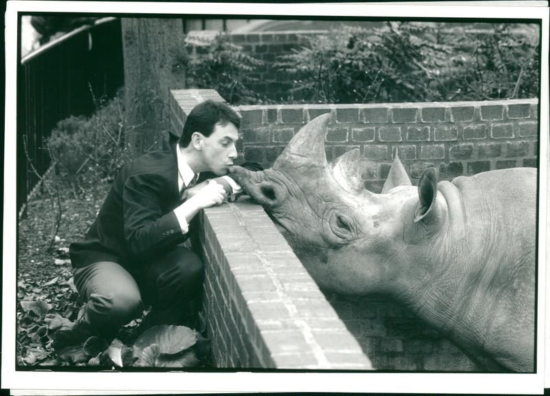 Rhinoceros Animal - Vintage Photograph