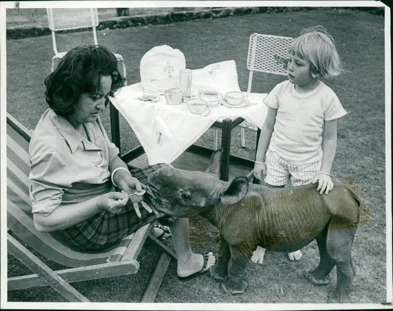 Rhinoceros Animal - Vintage Photograph