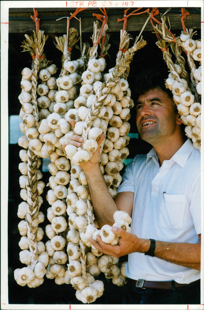 Colin Boswell Garlic Growers. - Vintage Photograph